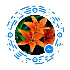 Meet your Posher, Lillian